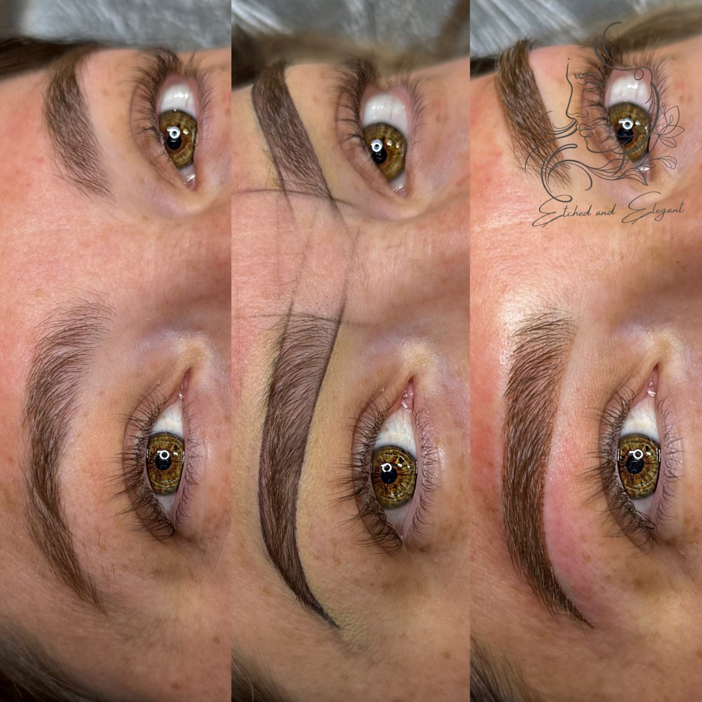 Brows at Etched and Elegant